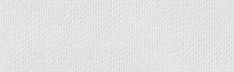 SHAPE PEARL MATT DECOR RECT. (31,6x100)