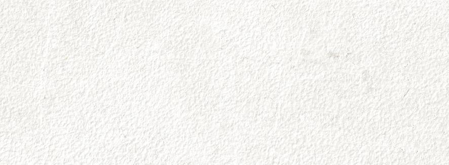 MAGNUM WHITE MATT DECOR RECT. (29,5x90)