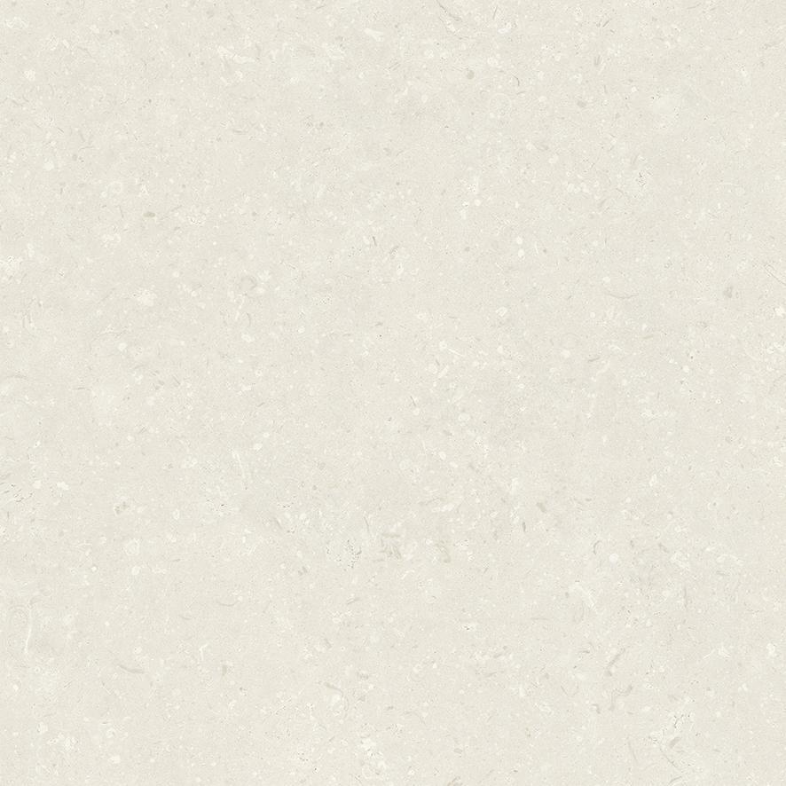 PIETRA CORAL NATURAL MATT RECT. (59,5x59,5)