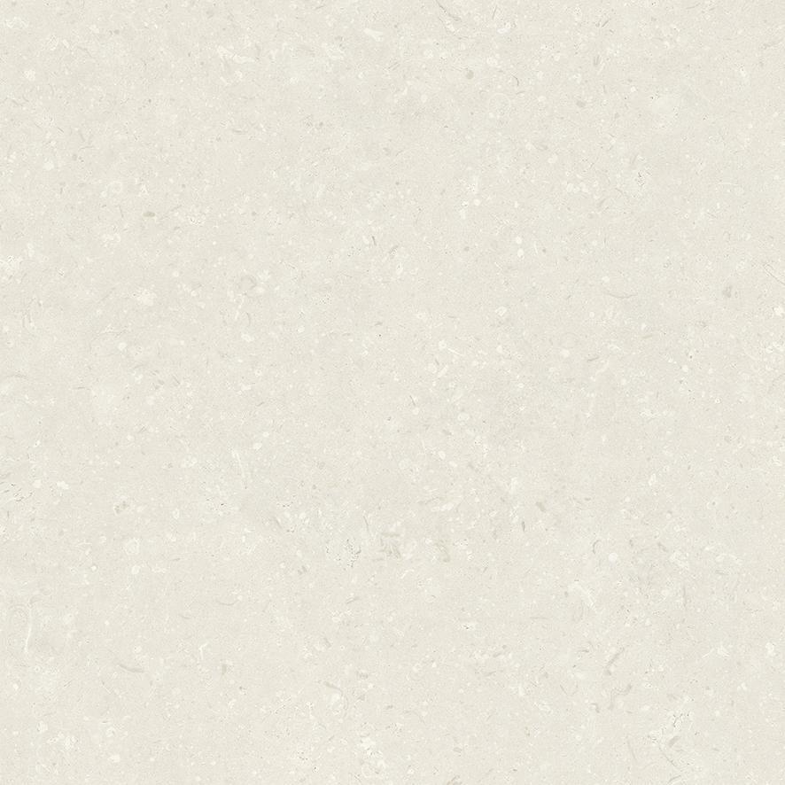 PIETRA CORAL NATURAL MATT RECT. (59,5x59,5)