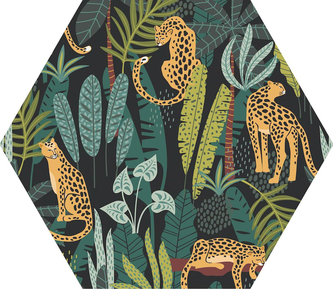 LIONS BLACK MATT (23x27)