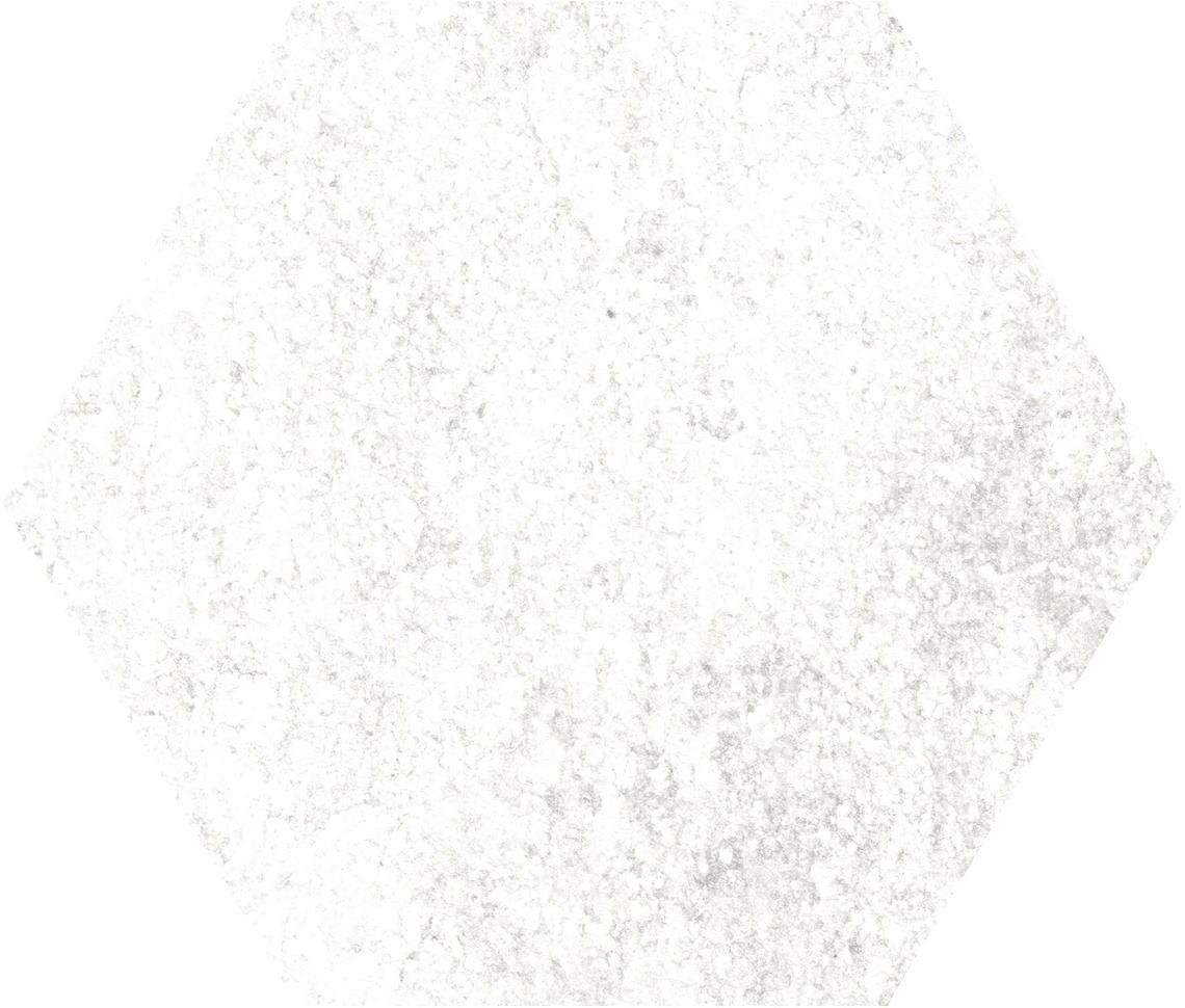 HEXA QUARTZITE PEARL MATT (23x27)