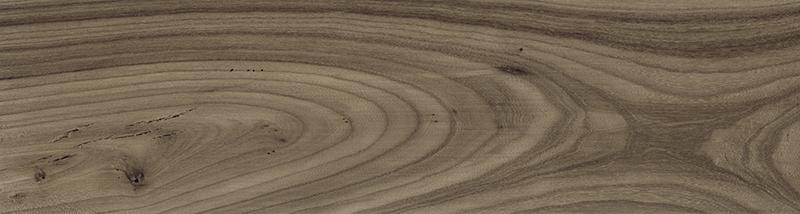 SONORA EBONY (C) (22x84)