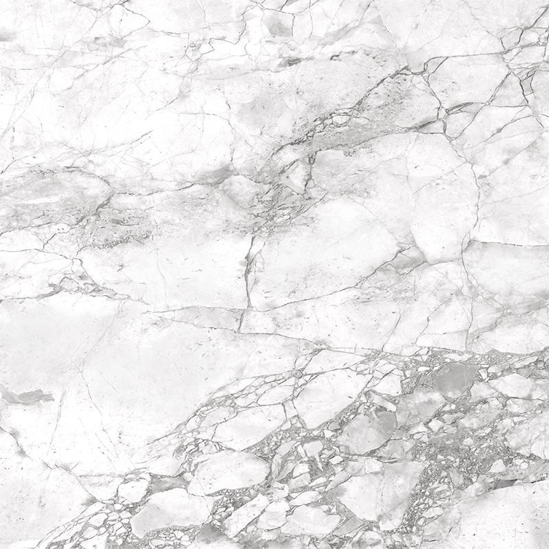 PORTOBELLO POLISHED RECT. (120x120)